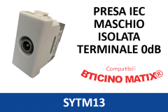 SYTM13